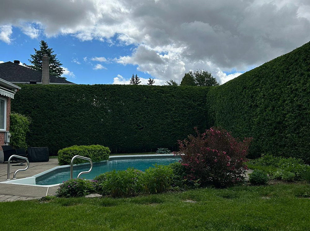 Hedge trimming Brossard