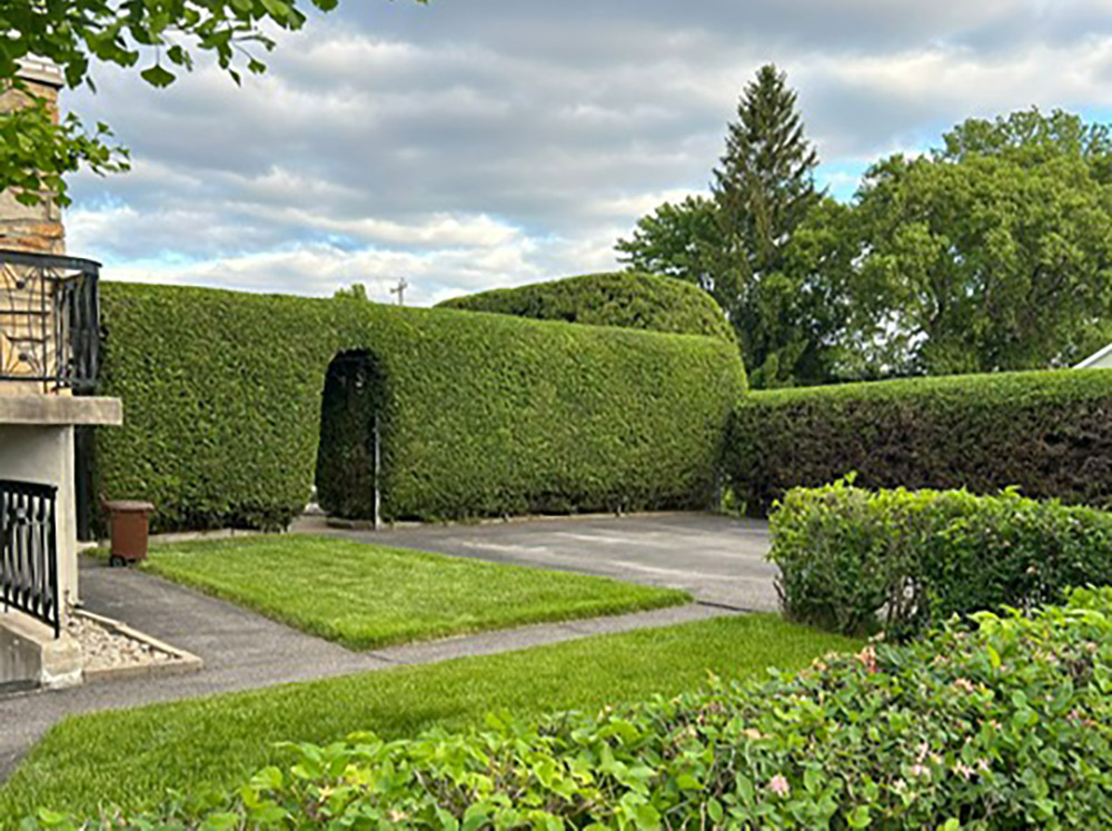 Hedge trimming Candiac